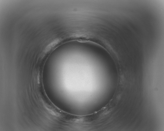 X0000077350068200610271839