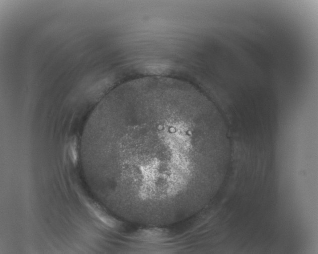 X0000077350069200610271839