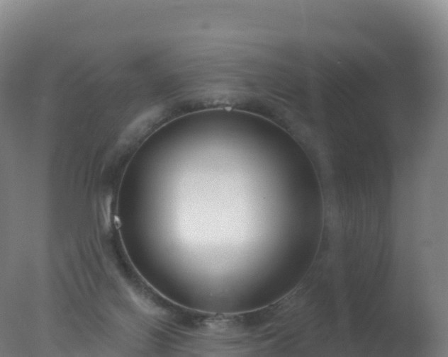 X0000077350070200610271839