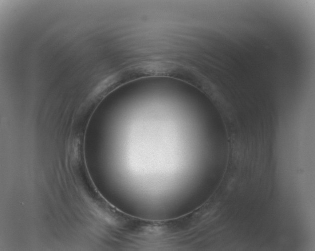 X0000077350071200610271839