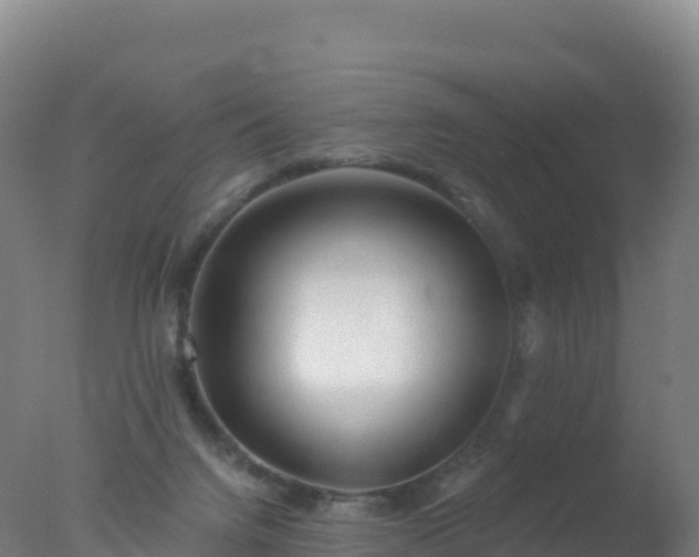 X0000077350072200610271839