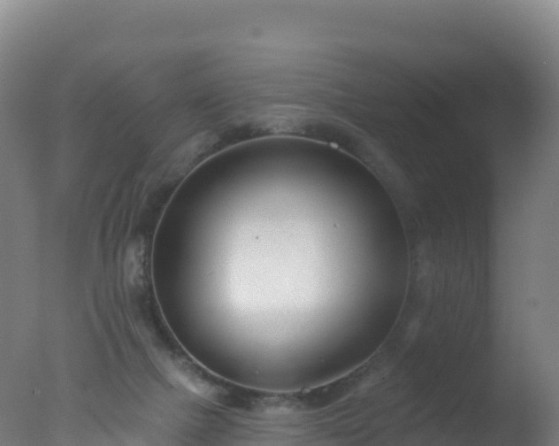 X0000077350073200610271839