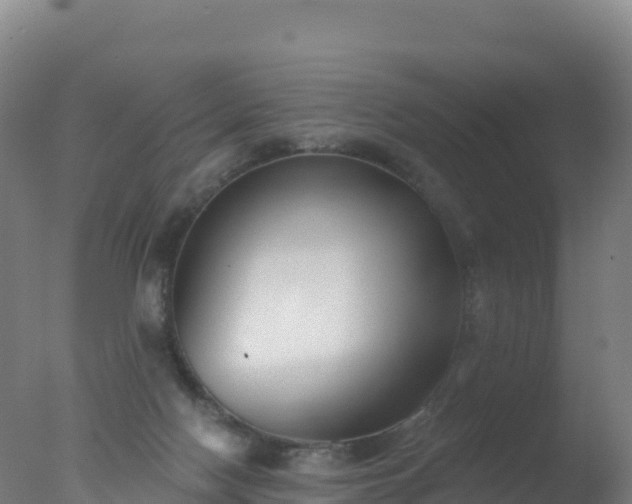 X0000077350074200610271839