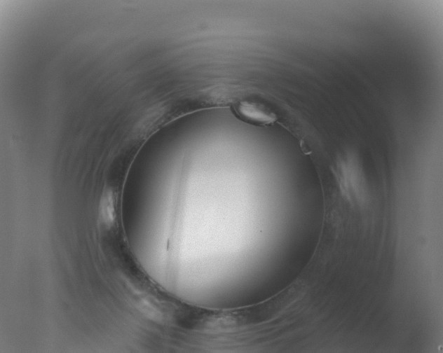 X0000077350075200610271839