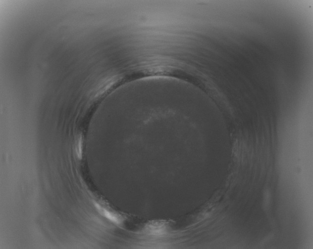 X0000077350076200610271839