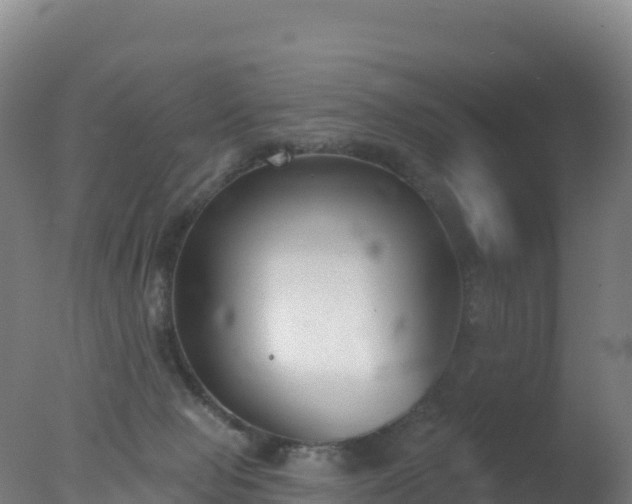 X0000077350077200610271839