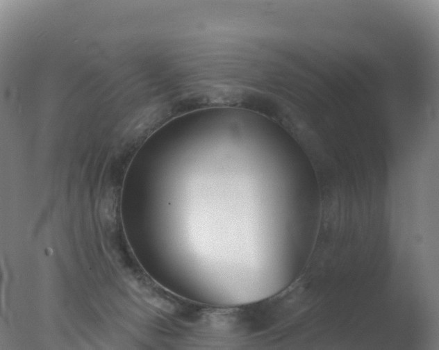 X0000077350078200610271839