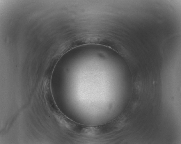 X0000077350079200610271839