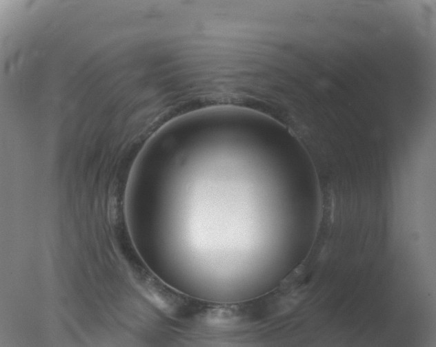 X0000077350080200610271839