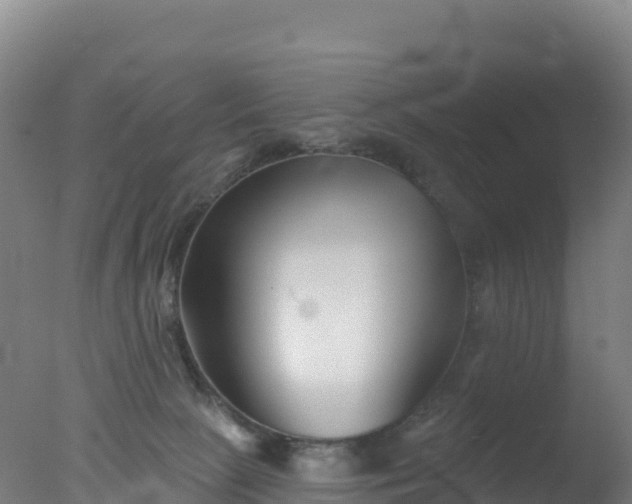 X0000077350081200610271839