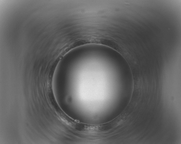 X0000077350084200610271839