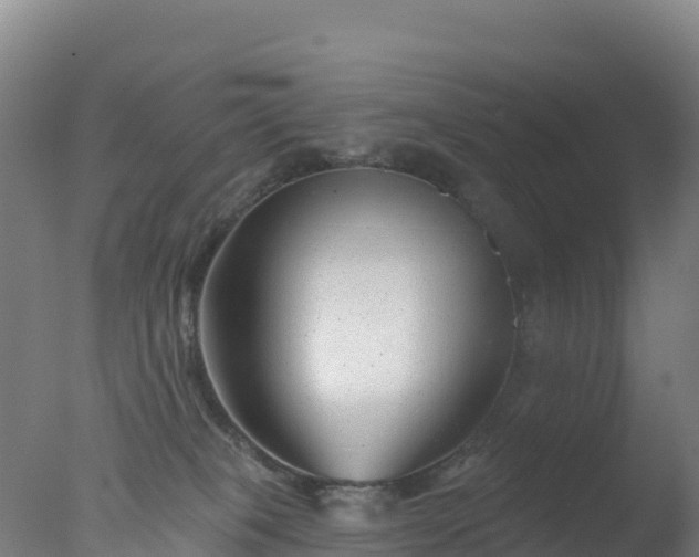 X0000077350085200610271839