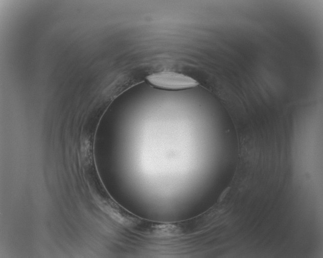 X0000077350087200610271839