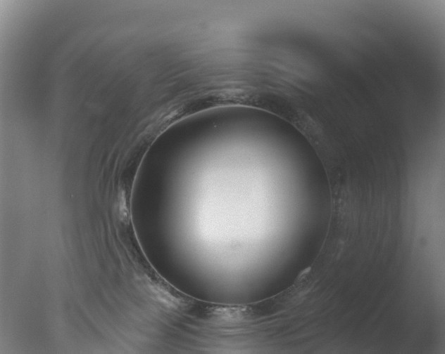 X0000077350089200610271839