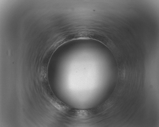 X0000077350091200610271839