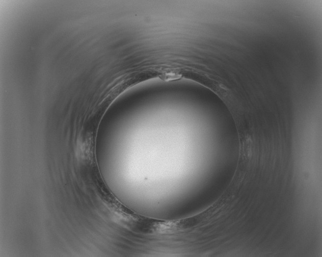 X0000077350092200610271839