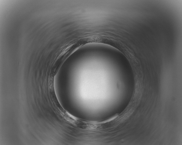 X0000077350096200610271839