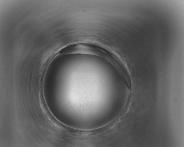 X0000077350097200610271839