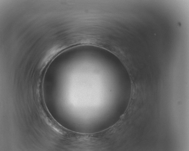 X0000077350098200610271839