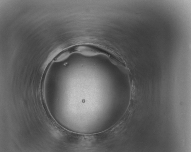 X0000077350099200610271839