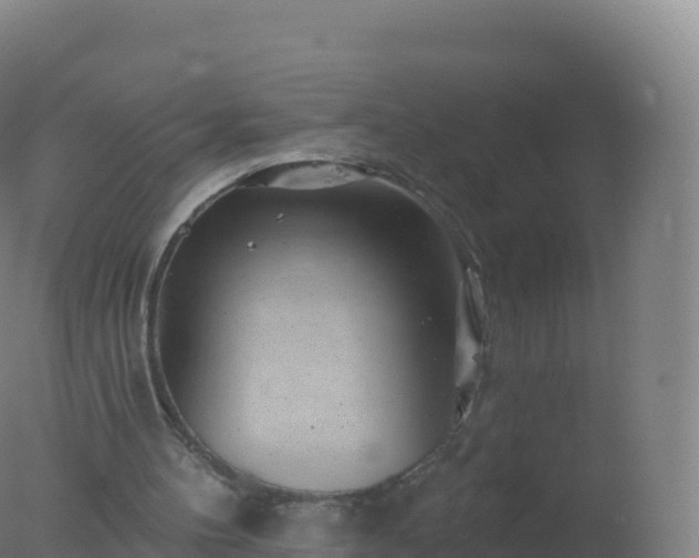 X0000077350100200610271839