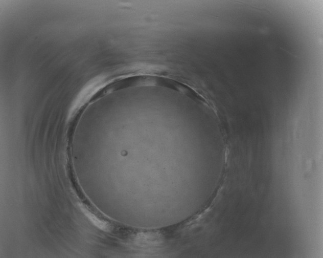 X0000077350101200610271839