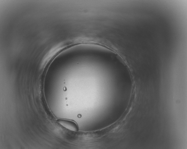 X0000077350103200610271838