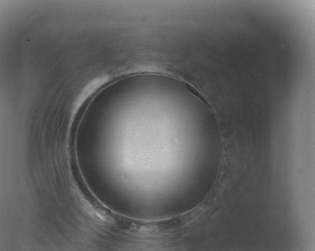 X0000077350104200610271838