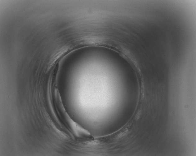 X0000077350105200610271838