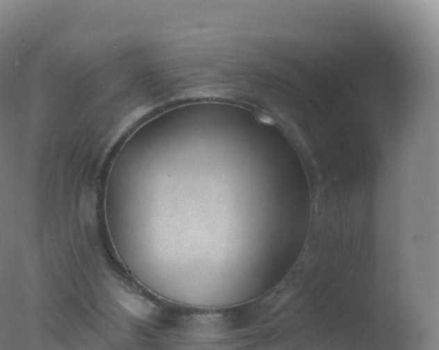 X0000077350108200610271838