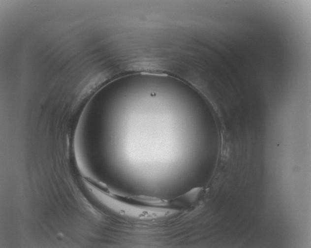 X0000077350109200610271838