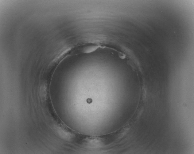 X0000077350113200610271838