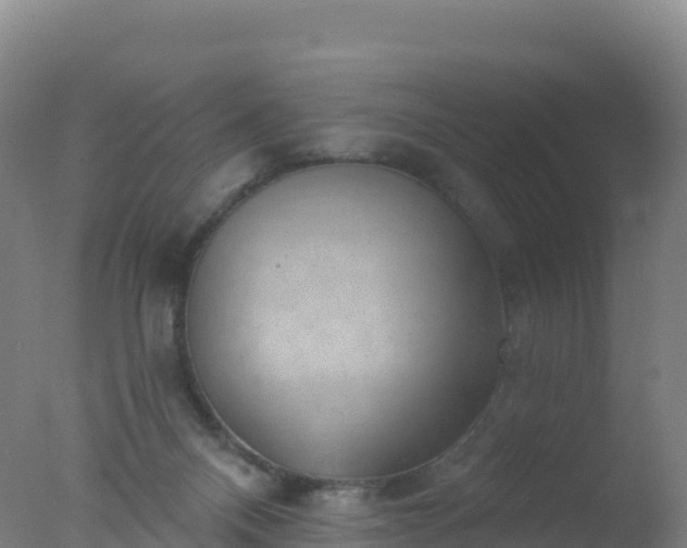 X0000077350120200610271838