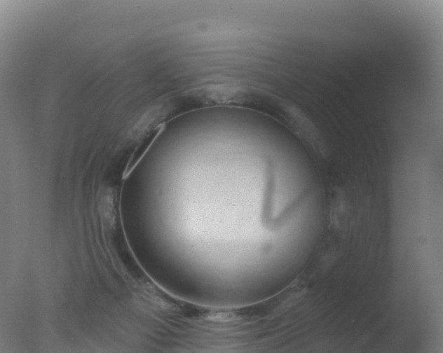 X0000077350121200610271838