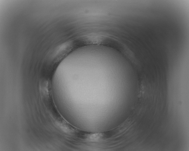 X0000077350122200610271838