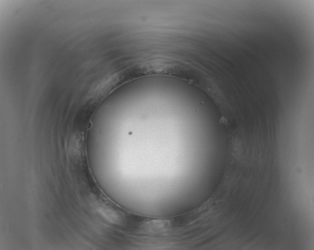 X0000077350126200610271838