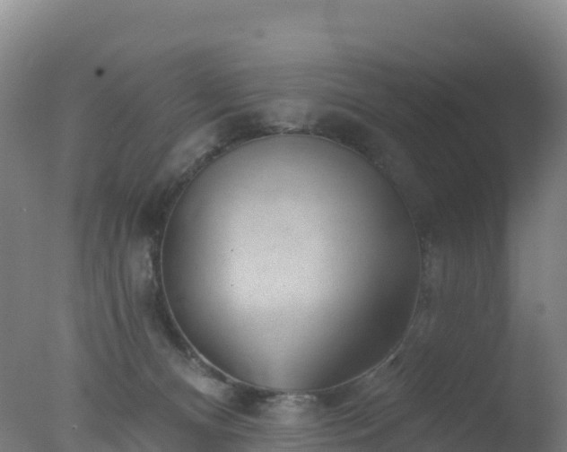 X0000077350128200610271838