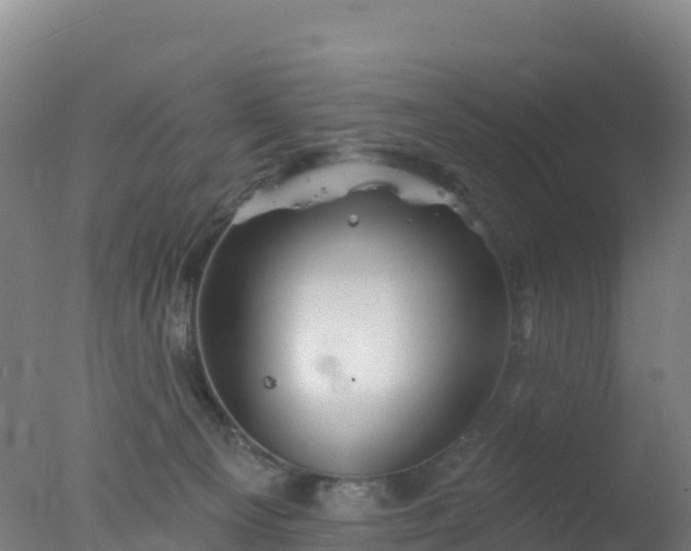 X0000077350129200610271838