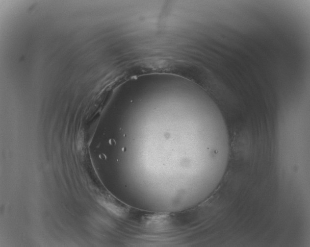 X0000077350132200610271838