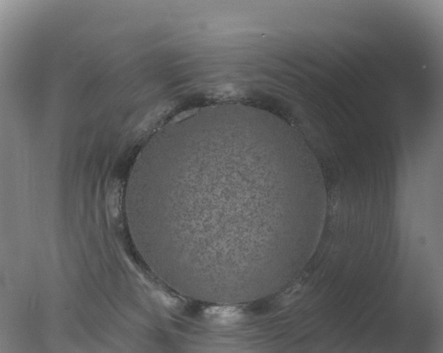 X0000077350133200610271838