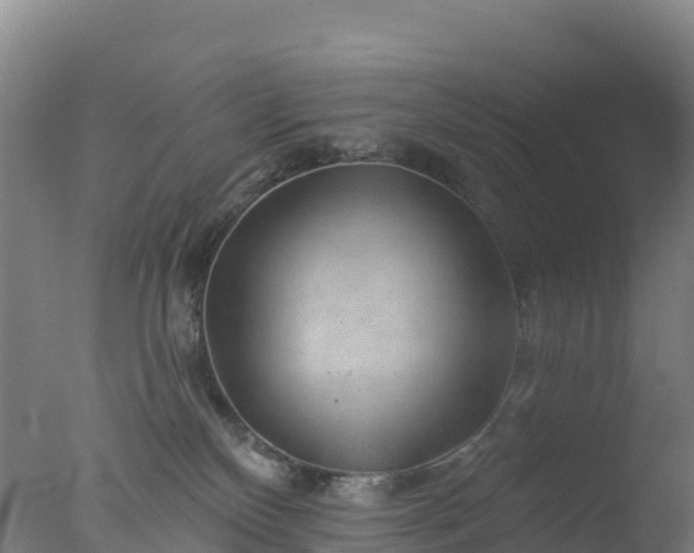 X0000077350136200610271838