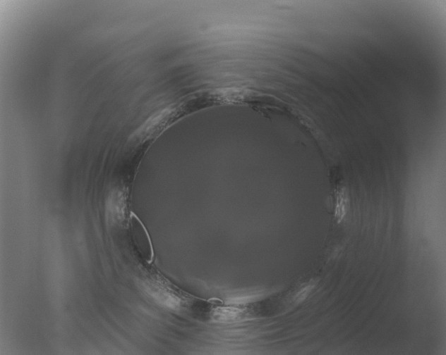 X0000077350139200610271838