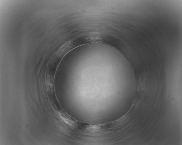 X0000077350140200610271838