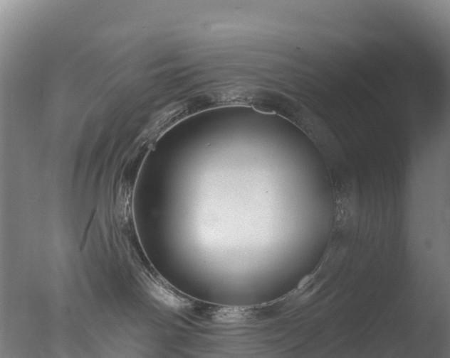 X0000077350142200610271838