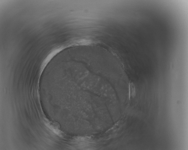 X0000077350147200610271837