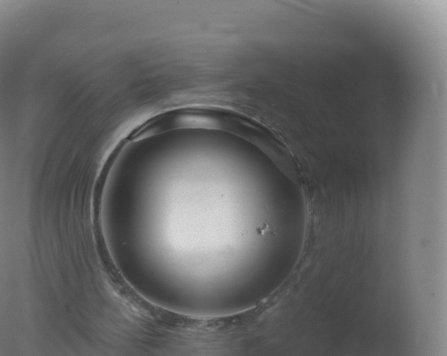 X0000077350148200610271837