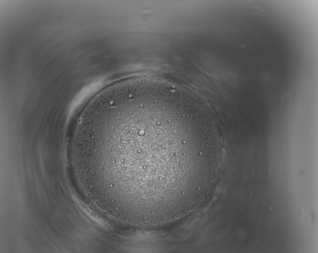 X0000077350149200610271837