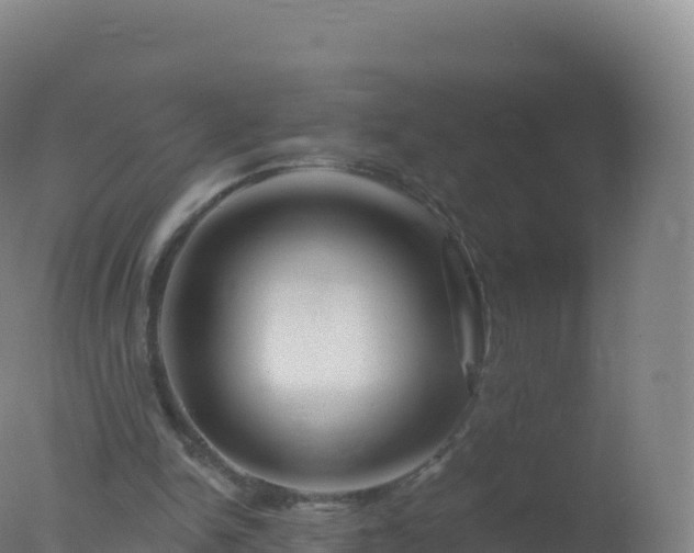 X0000077350150200610271837