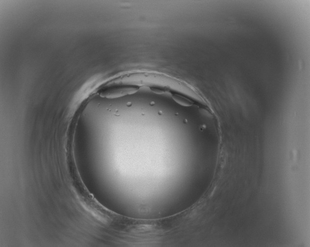 X0000077350151200610271837