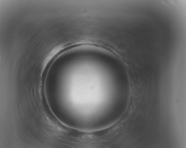 X0000077350152200610271837